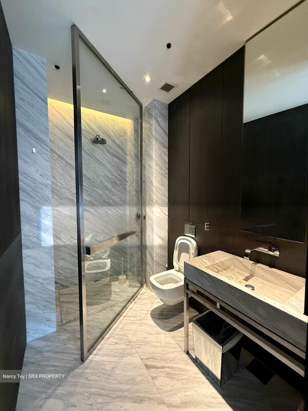Nassim Park Residences (D10), Condominium #507368151
